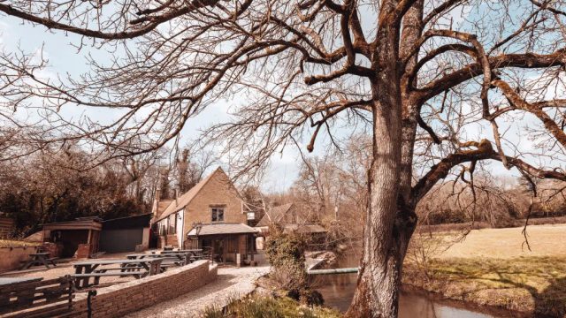 the-fox-at-great-barrington-cotswolds-huddle (2)