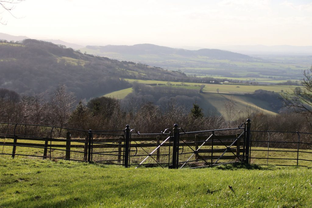 Best-Cotswold-Tours-Cotswolds-Huddle (10)
