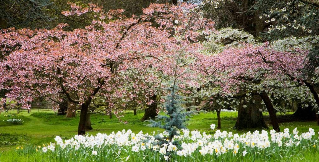 batsford-arboretum-cafe-cotswolds-huddle (2)
