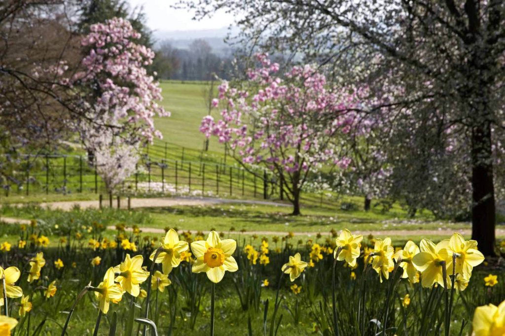 batsford-arboretum-cafe-cotswolds-huddle (2)