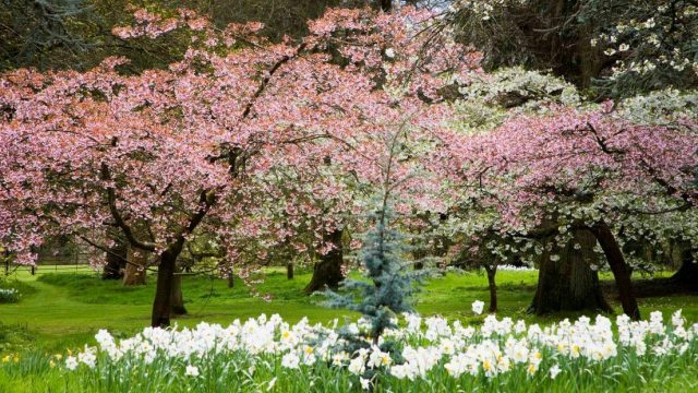 batsford-arboretum-cafe-cotswolds-huddle (2)