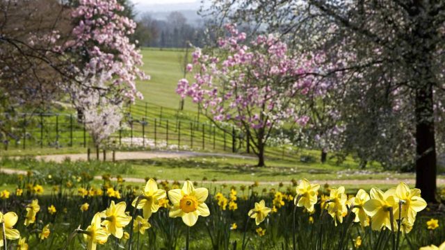 batsford-arboretum-cafe-cotswolds-huddle (2)