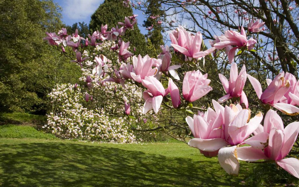 batsford-arboretum-cotswolds-huddle (3)