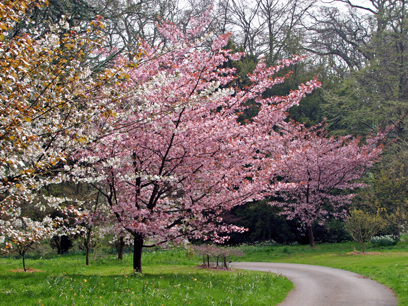 batsford-arboretum-cotswolds-huddle (4)