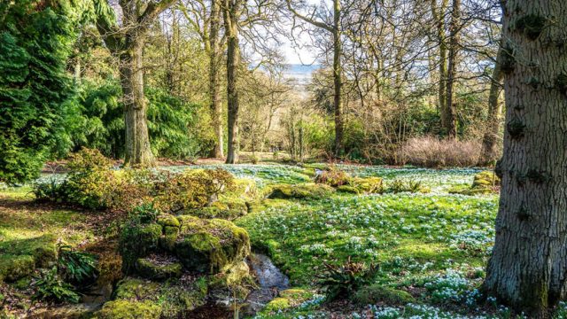batsford-arboretum-cotswolds-huddle (5)