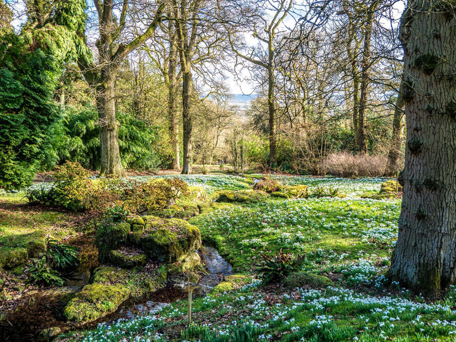 batsford-arboretum-cotswolds-huddle (5)