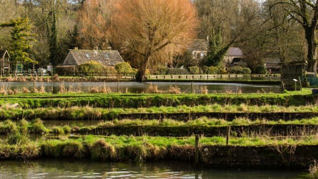 bibury-trout-farm-cirencester-cotswolds-huddle (4)
