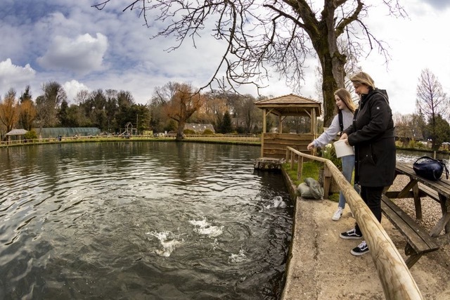 bibury-trout-farm-cirencester-cotswolds-huddle (9)