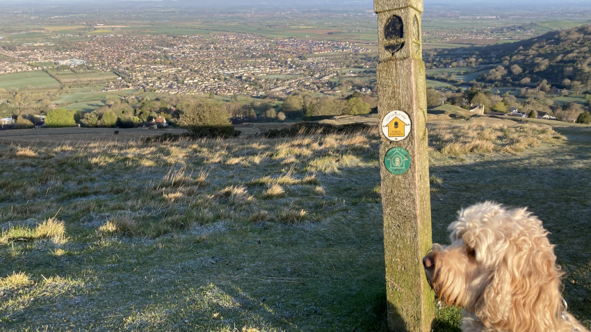 malvern-view-bed-and-breakfast-cleeve-hill-cheltenham-cotswolds-huddle (3)