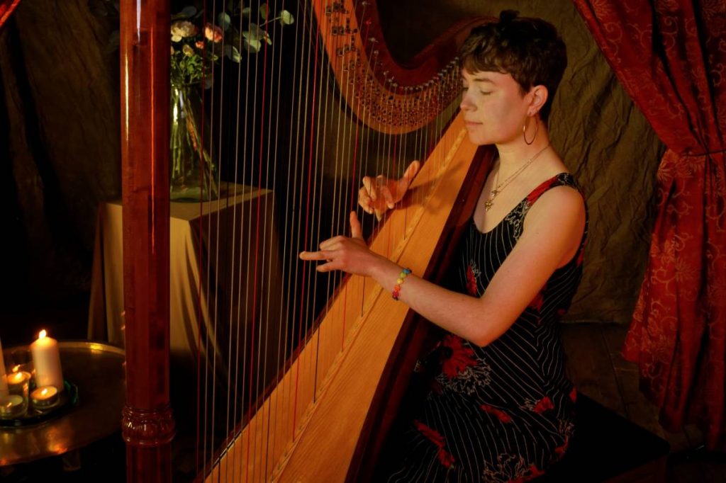 emmy-the-harp-em-broughton-harpist-cotswolds-huddle (2)