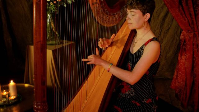 emmy-the-harp-em-broughton-harpist-cotswolds-huddle (2)