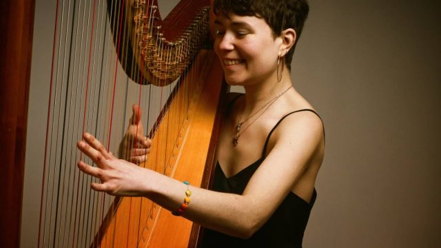 emmy-the-harp-em-broughton-harpist-cotswolds-huddle (3)