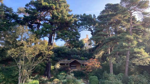 kiftsgate-court-gardens-chipping-campden-cotswolds-concierge (14)