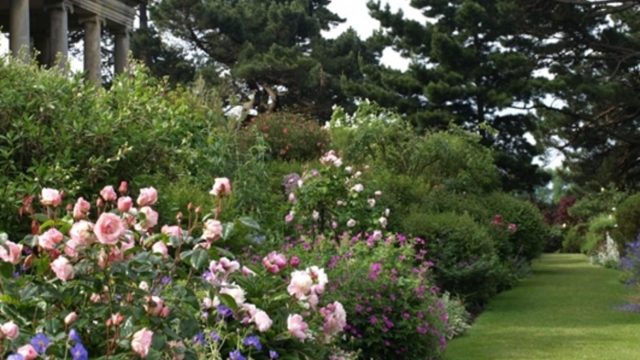 kiftsgate-court-gardens-chipping-campden-cotswolds-concierge (37)