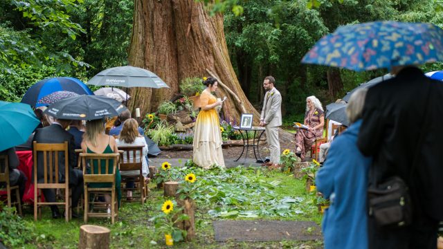 freedom-photography-emma-sabin-photographer-cotswolds-huddle (11)