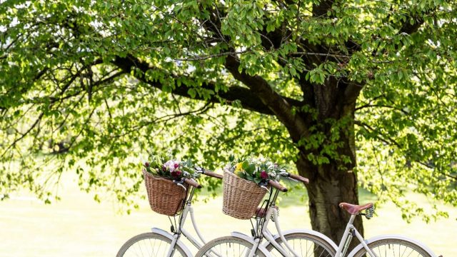 Ettington-Park-Hotel-Cotswolds-Huddle (3)