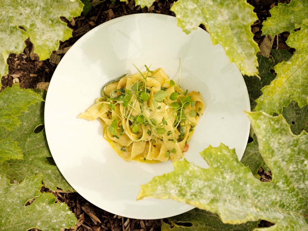 roots+seeds-kitchen-garden-cirencester-gloucester-cotswolds-huddle (17)