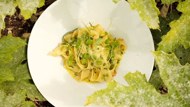 roots+seeds-kitchen-garden-cirencester-gloucester-cotswolds-huddle (17)