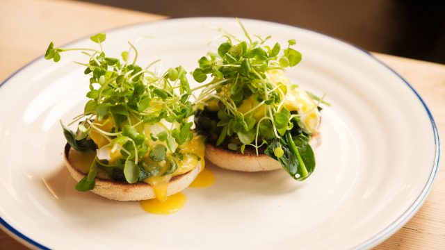 roots+seeds-kitchen-garden-cirencester-gloucester-cotswolds-huddle (18)