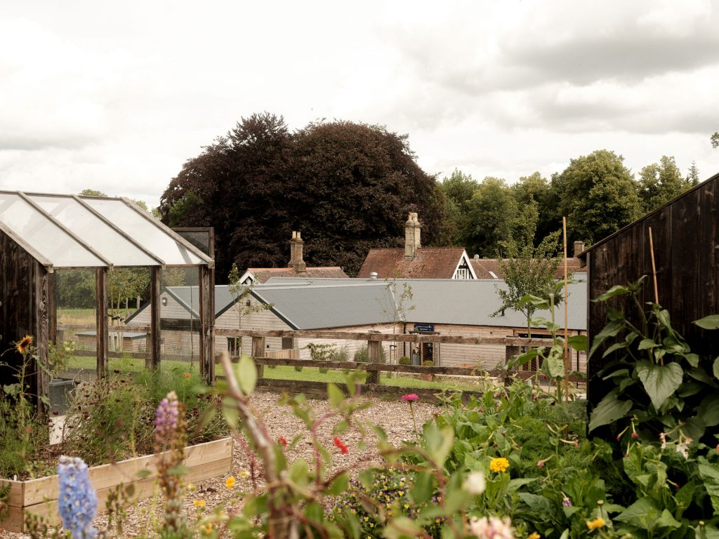 roots+seeds-kitchen-garden-cirencester-gloucester-cotswolds-huddle (2)