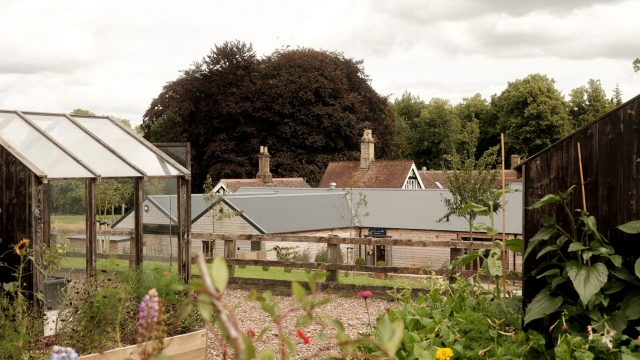 roots+seeds-kitchen-garden-cirencester-gloucester-cotswolds-huddle (2)
