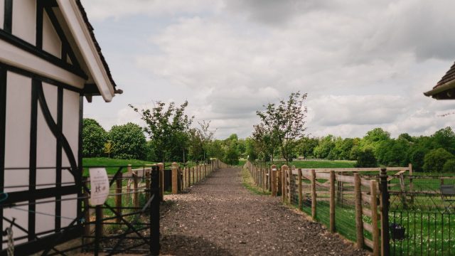 roots+seeds-kitchen-garden-cirencester-gloucester-cotswolds-huddle (4)