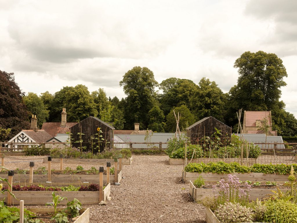 roots+seeds-kitchen-garden-cirencester-gloucester-cotswolds-huddle (5)