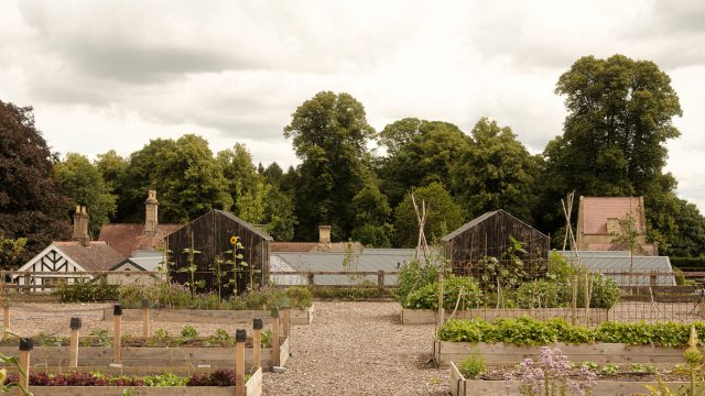 roots+seeds-kitchen-garden-cirencester-gloucester-cotswolds-huddle (5)
