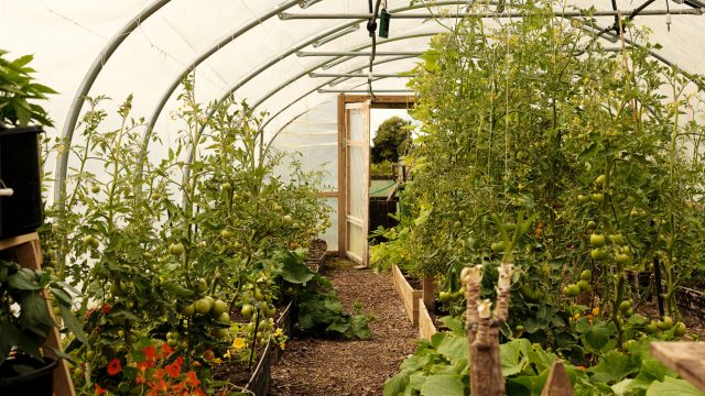 roots+seeds-kitchen-garden-cirencester-gloucester-cotswolds-huddle (7)