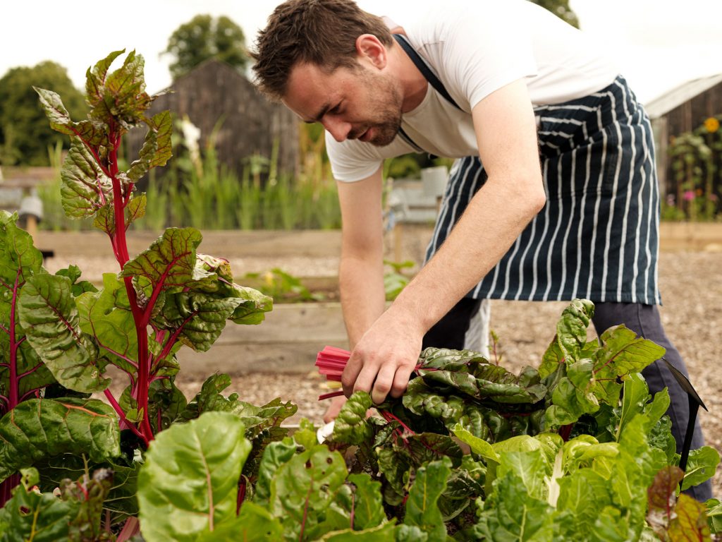 roots+seeds-kitchen-garden-cirencester-gloucester-cotswolds-huddle (9)