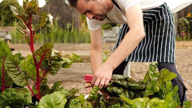 roots+seeds-kitchen-garden-cirencester-gloucester-cotswolds-huddle (9)