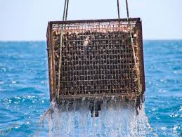 sirens-amphora-wine-distributor-shop-cotswolds-huddle (1)