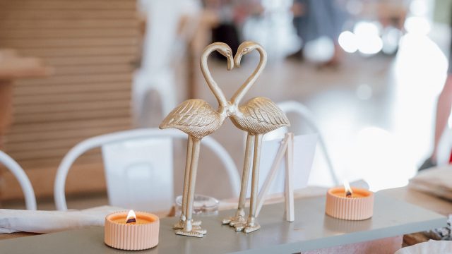 Grow and Gather – Summer Edition