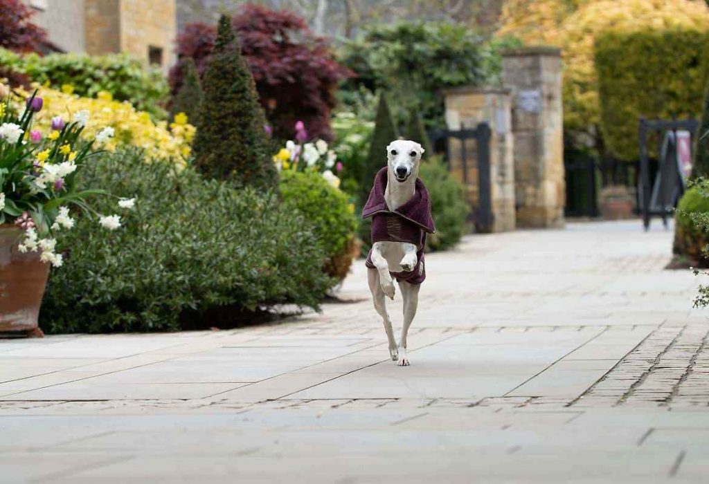 the-lygon-arms-cotswolds-huddle (1)