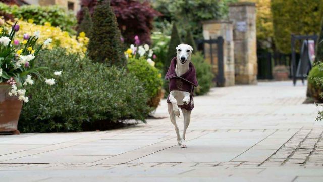 the-lygon-arms-cotswolds-huddle (1)