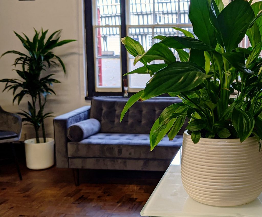 unity-hair-studio-evesham-worcestershire-cotswolds-huddle (8)