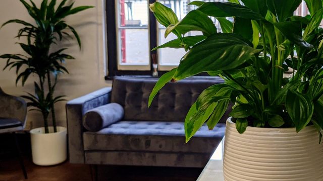 unity-hair-studio-evesham-worcestershire-cotswolds-huddle (8)