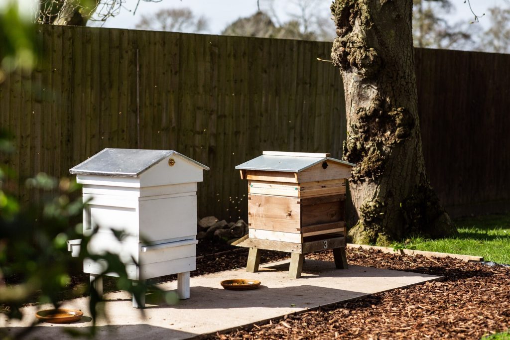 mallory-court-cotswolds-huddle (1)