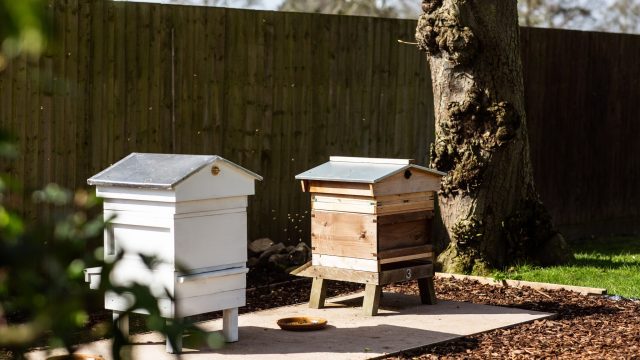 mallory-court-cotswolds-huddle (1)