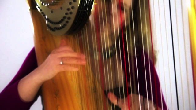 harpist-fiona-hosford-cotswolds-huddle (4)