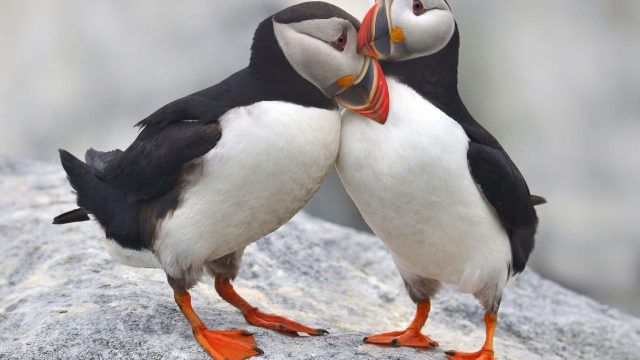 not-just-travel-edward-sharon-penn-∙-personal-travel-consultants-cotswolds-huddle (6)