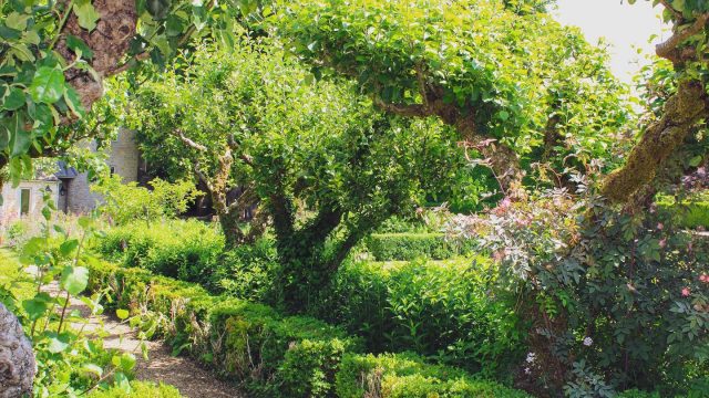 lords-of-the-manor-cotswolds-huddle (9)