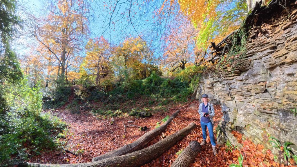360-reveal-cotswolds-huddle (14)