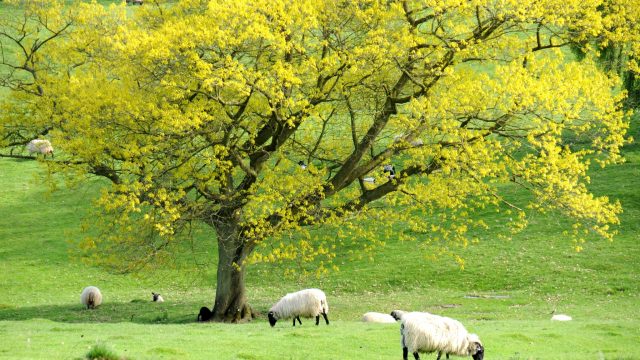 notgrove-holidays-cotswolds-huddle (21)