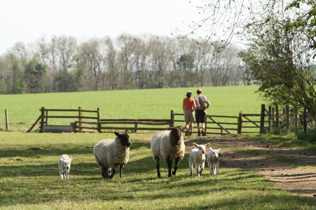 notgrove-holidays-cotswolds-huddle (24)