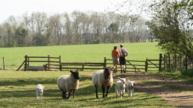 notgrove-holidays-cotswolds-huddle (24)