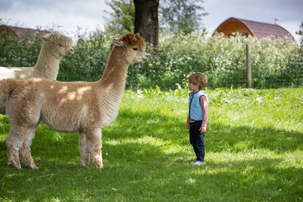 notgrove-holidays-cotswolds-huddle (29)