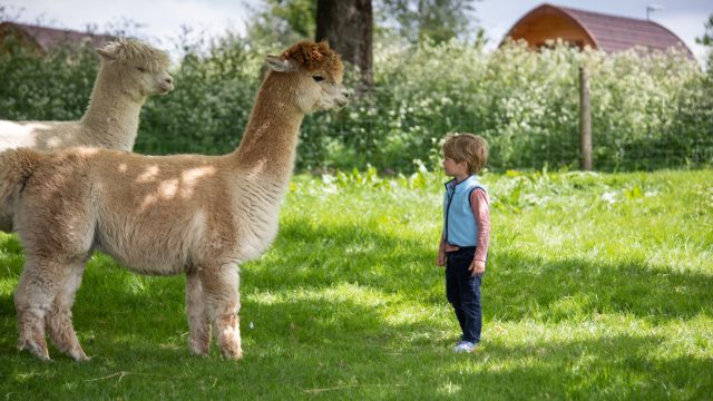 notgrove-holidays-cotswolds-huddle (29)