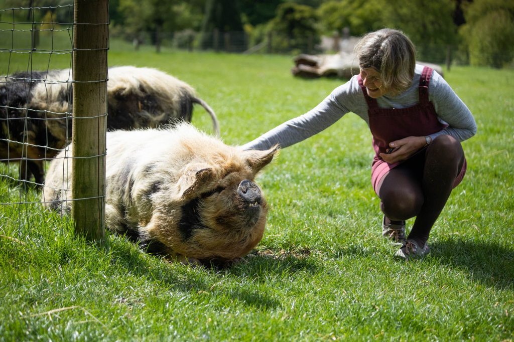 notgrove-holidays-cotswolds-huddle (34)