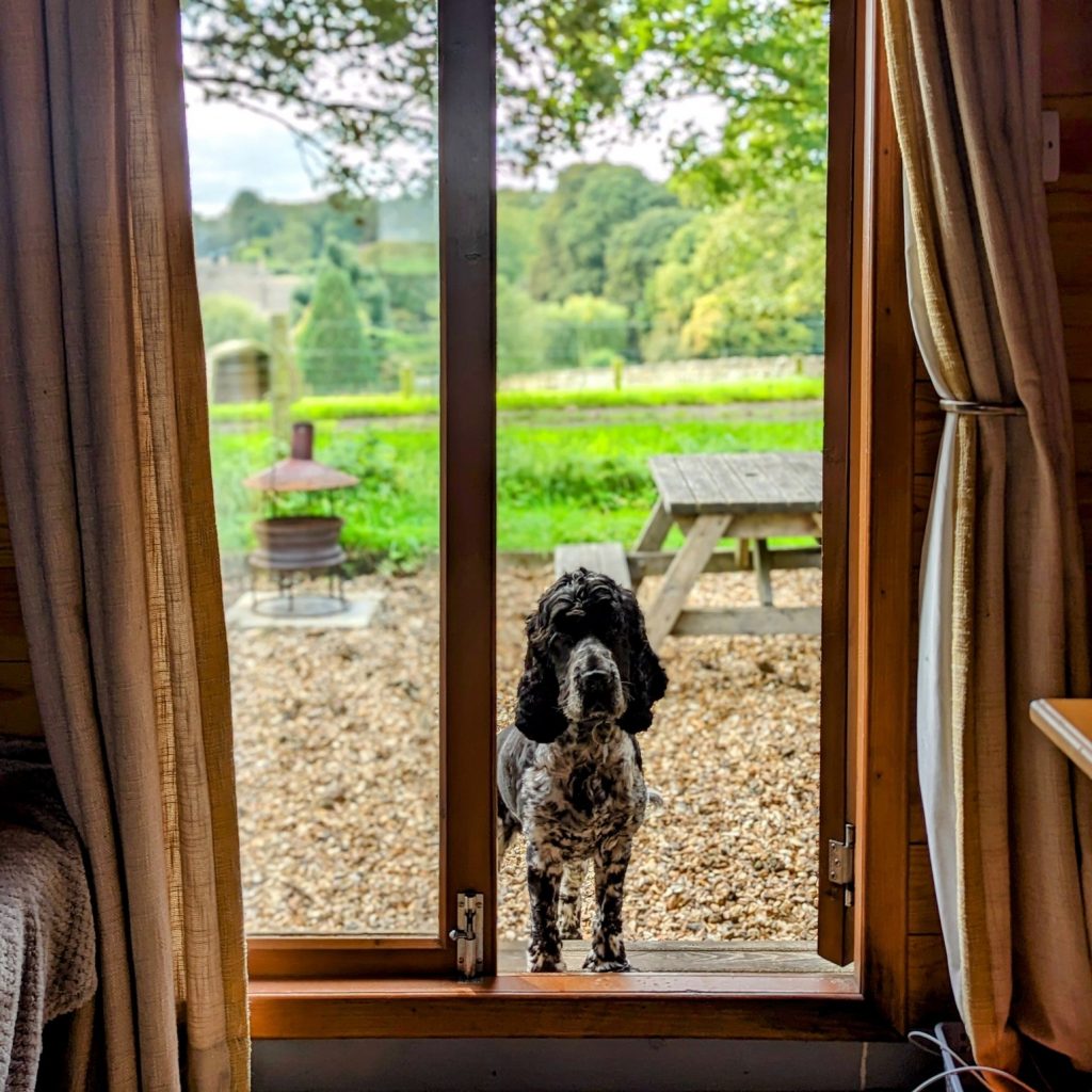 notgrove-holidays-cotswolds-huddle (4)